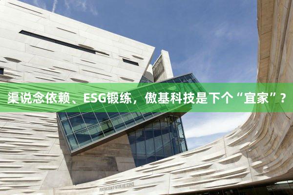 渠说念依赖、ESG锻练，傲基科技是下个“宜家”？