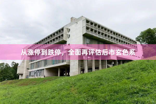 从涨停到跌停，全面再评估后市玄色系