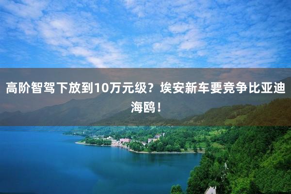 高阶智驾下放到10万元级？埃安新车要竞争比亚迪海鸥！