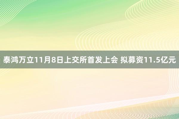 泰鸿万立11月8日上交所首发上会 拟募资11.5亿元